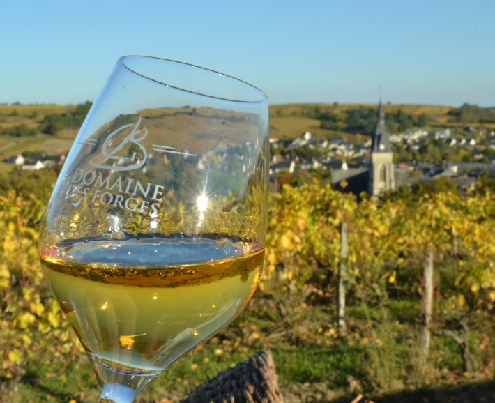 Chenin Blanc International Celebration