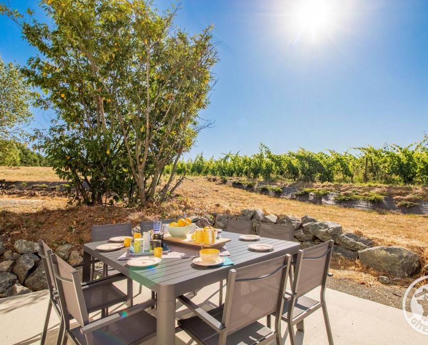 Gite vignoble anjou domaine des forges